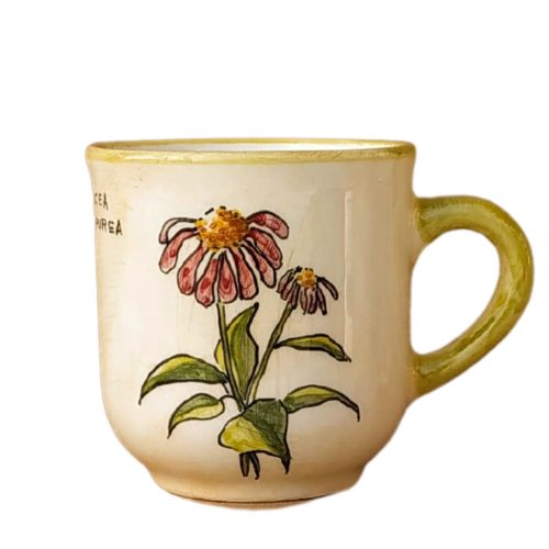 Kaffeetasse Purpursonnenhut Echinacea Purpurea